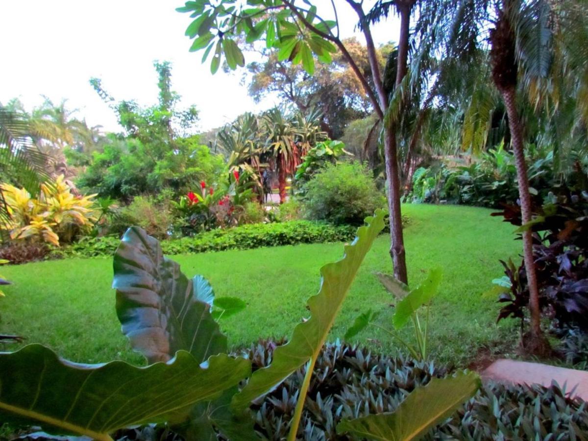 Tamarindo Condo 206 Matapalo エクステリア 写真