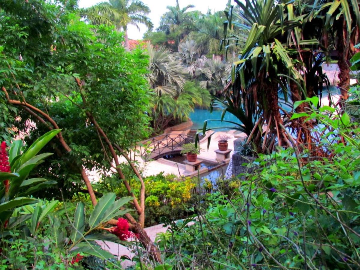 Tamarindo Condo 206 Matapalo エクステリア 写真